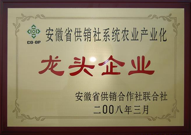 龍頭企業(yè)